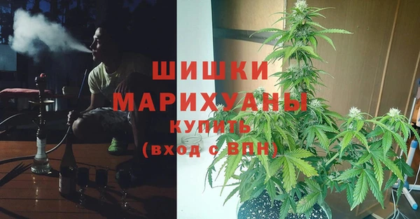 прущие крисы Переславль-Залесский